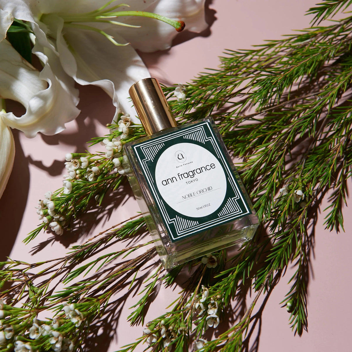 0929_annfrg_54500_MINI_1200x12