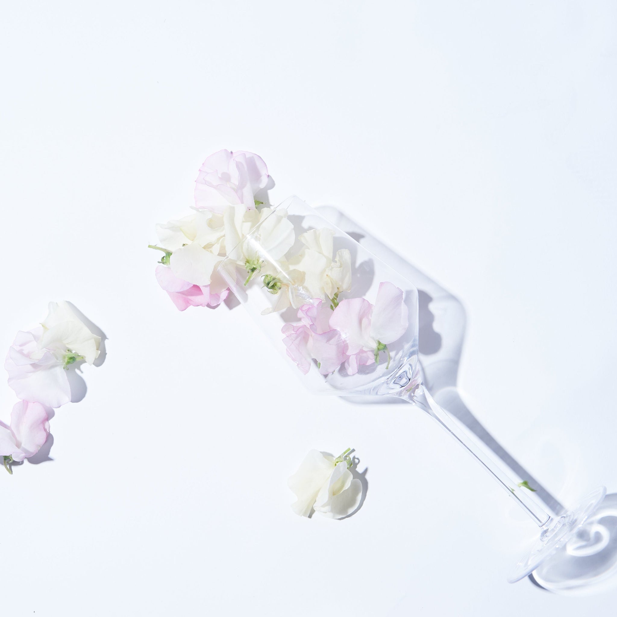 FLOWER SHOWER | アンフレグランス(ann fragrance)公式サイト