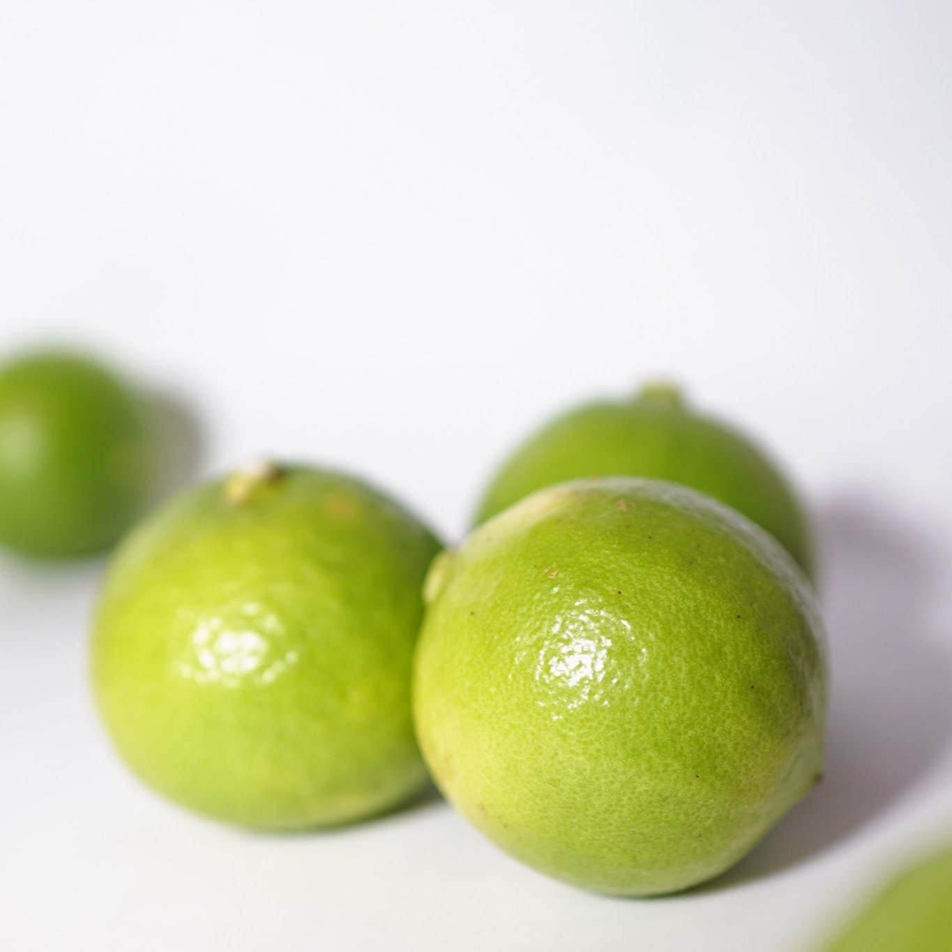 BERGAMOT QUEEN | アンフレグランス(annfragrance)公式サイト – ann