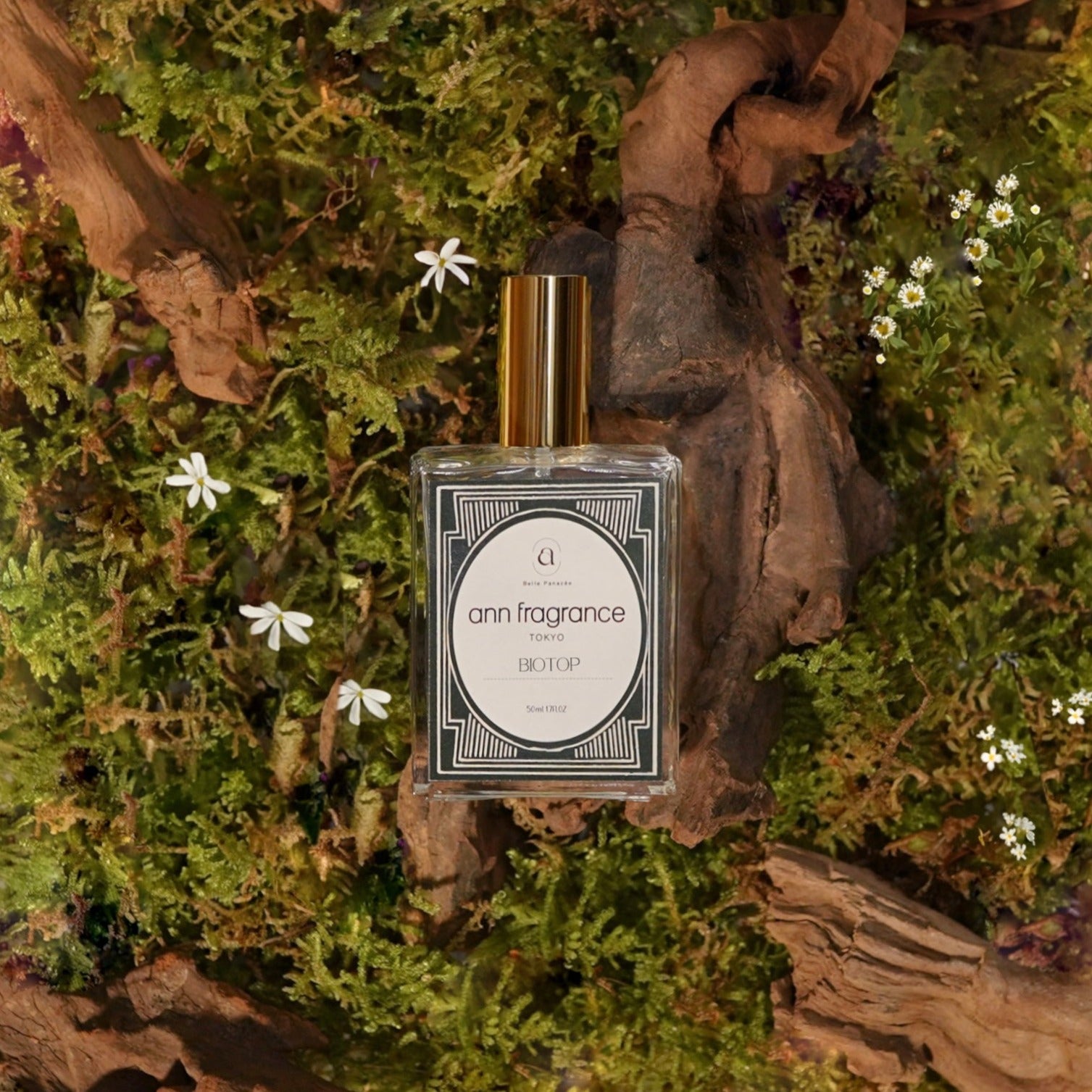 biotop_1507x.jpg?v=1751271823